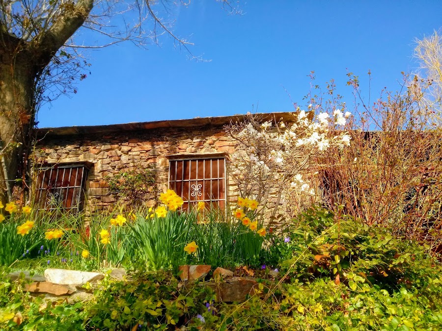 Cortijo Prado Toro
