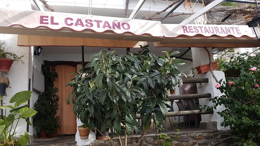 Restaurante Pizzería El Castaño