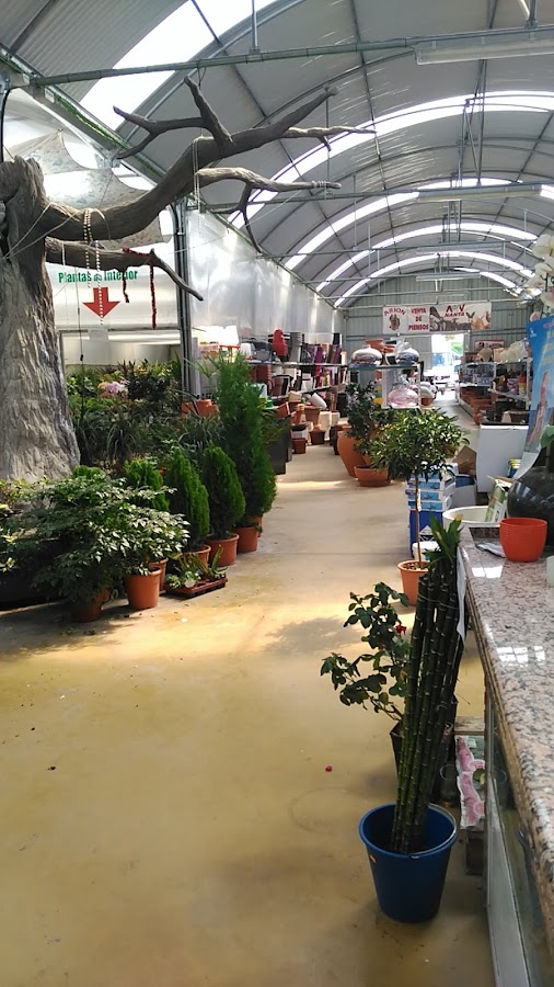 Viveros Villa Otura